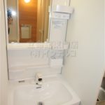 独立洗面台(内装) 独立洗面台(内装)